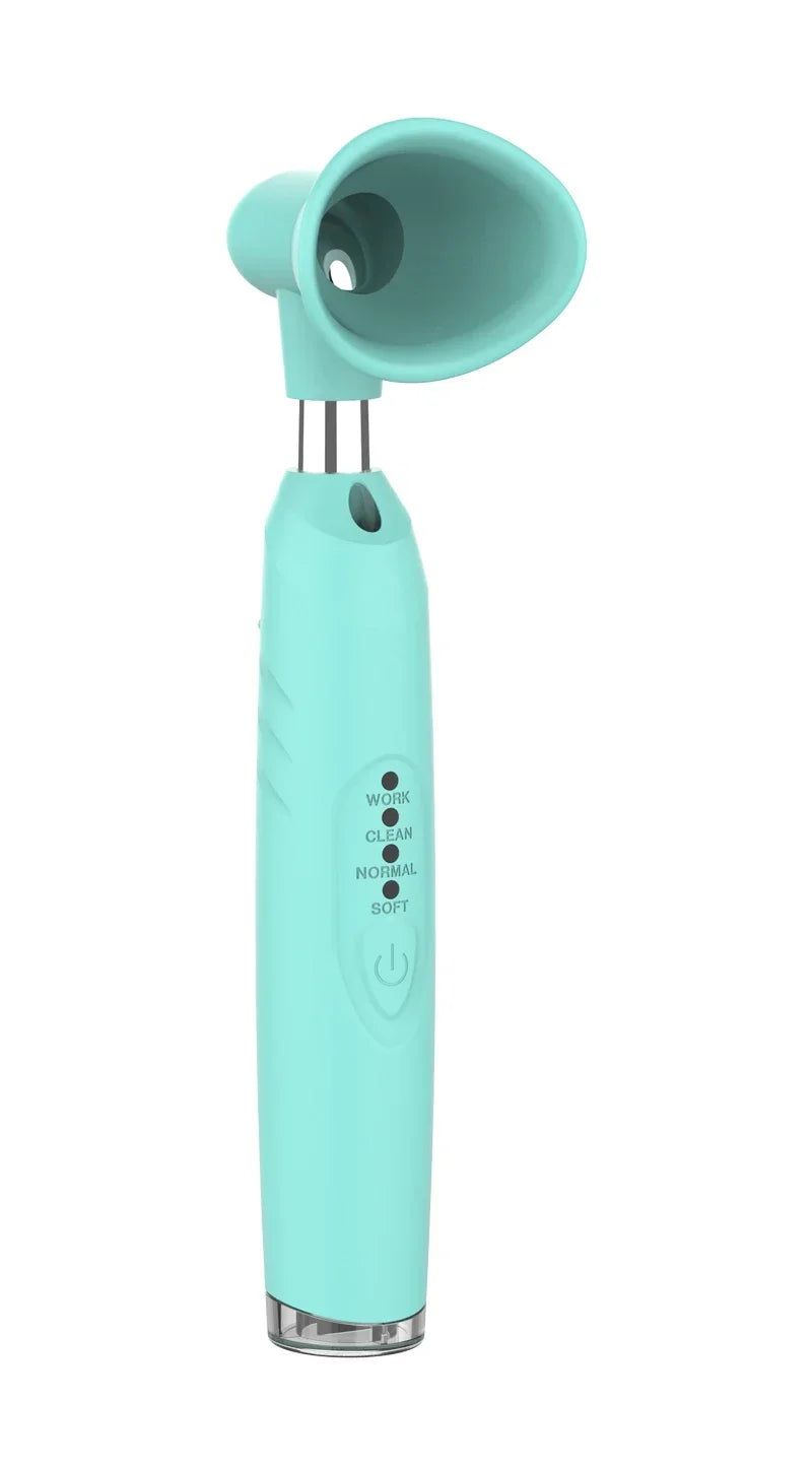 Electric USB Face Washing Brush