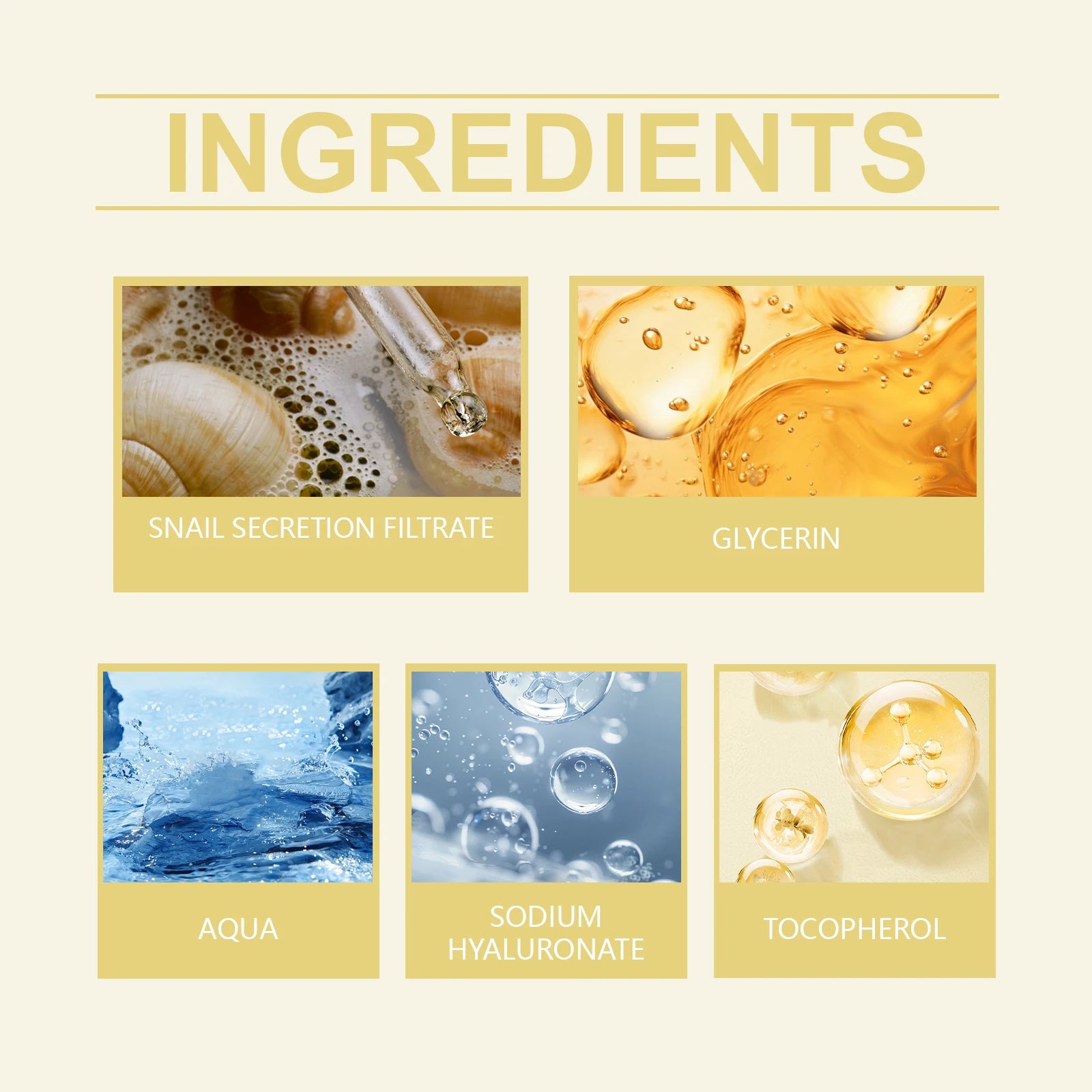 Snail Radiance PowerLift